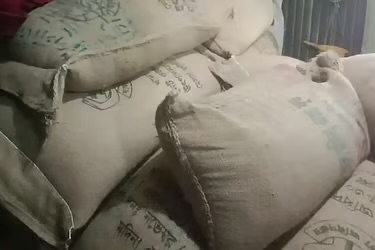 জামায়াত নেতার ঘর থেকে ৯৯ বস্তা সরকারি চাল উদ্ধার।
