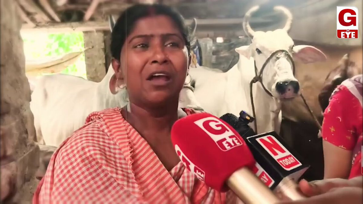 ভারতে হিন্দুদের কাছ থেকে কুরবানির গরু কিনছেন না মুসলিমরা, চরম লোকসানের মুখে হিন্দু খামারি ও ব্যবসায়ীরা।