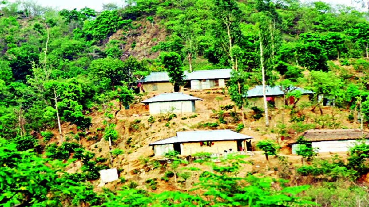 জঙ্গল সলিমপুরে ভোররাতে র্যাব ক্যাম্পে সশস্ত্র হামলা: পাল্টা অভিযানে যৌথ বাহিনী।